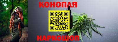 герыч Кингисепп