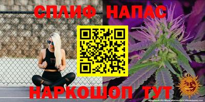 герыч Кингисепп