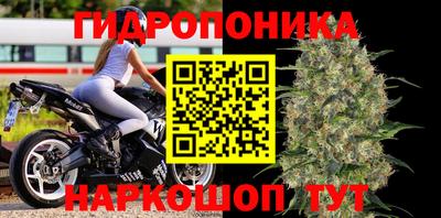 герыч Кингисепп