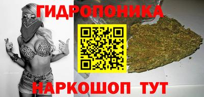 ПСИЛОЦИБИНОВЫЕ ГРИБЫ Кинель